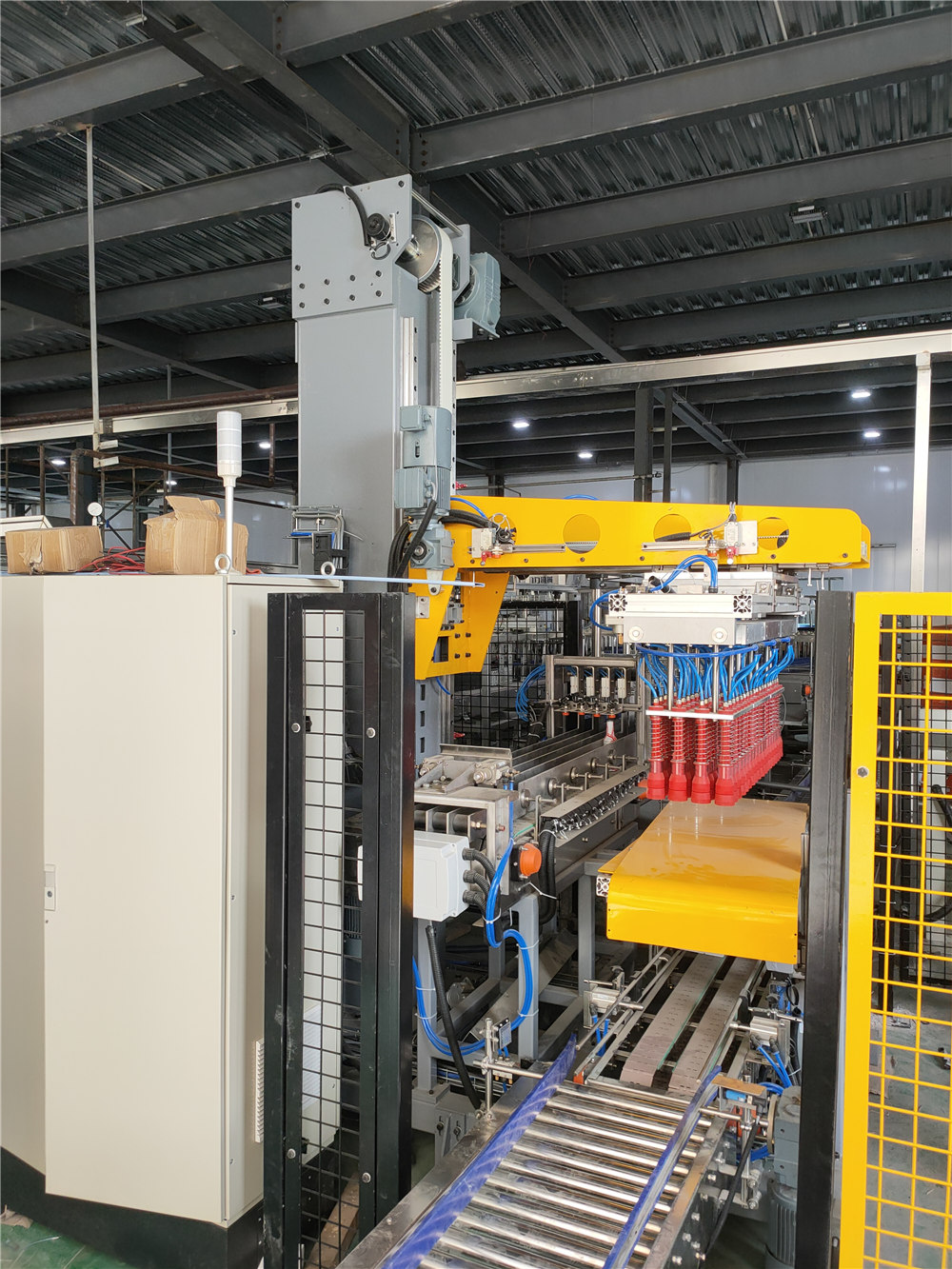 Carton Packing Machine6