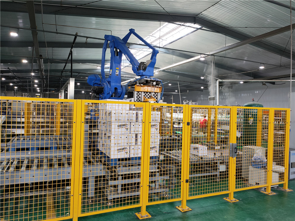 Robot xếp pallet6